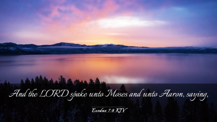 Picture 03 - Exodus 7:8 KJV Desktop Wallpaper - And the LORD spake unto Moses and unto Aaron, - Desktop Bible Verse Wallpaper