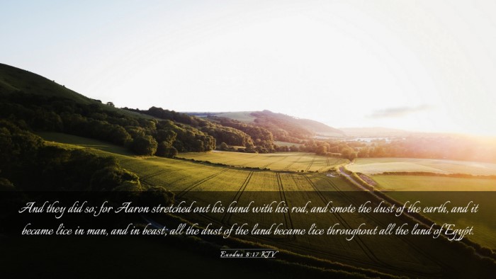 Picture 03 - Exodus 8:17 KJV Desktop Wallpaper - And they did so; for Aaron stretched out his hand - Desktop Bible Verse Wallpaper
