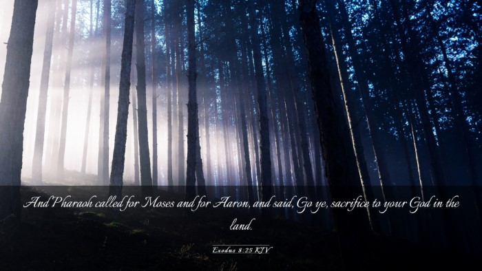 Picture 03 - Exodus 8:25 KJV Desktop Wallpaper - And Pharaoh called for Moses and for Aaron, and - Desktop Bible Verse Wallpaper