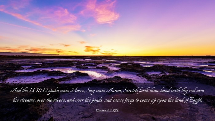 Picture 03 - Exodus 8:5 KJV Desktop Wallpaper - And the LORD spake unto Moses, Say unto Aaron, - Desktop Bible Verse Wallpaper