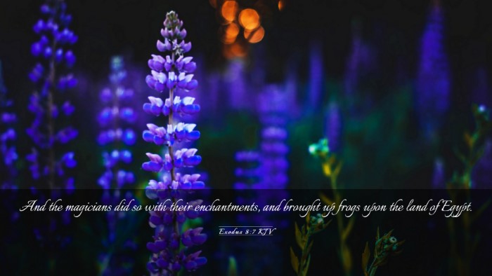 Picture 03 - Exodus 8:7 KJV Desktop Wallpaper - And the magicians did so with their enchantments, - Desktop Bible Verse Wallpaper
