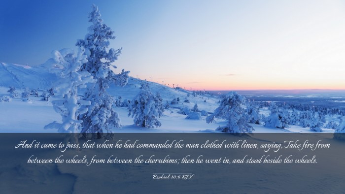 Picture 03 - Ezekiel 10:6 KJV Desktop Wallpaper - And it came to pass, that when he had commanded - Desktop Bible Verse Wallpaper