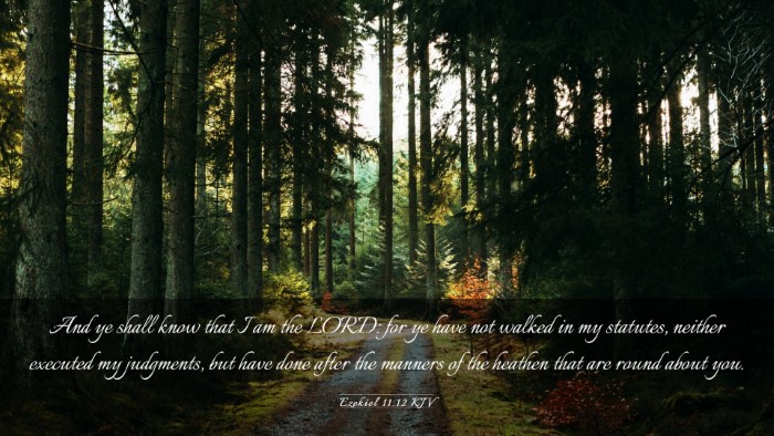 Picture 03 - Ezekiel 11:12 KJV Desktop Wallpaper - And ye shall know that I am the LORD: for ye have - Desktop Bible Verse Wallpaper