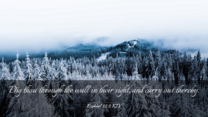 Picture 03 - Ezekiel 12:5 KJV Desktop Wallpaper - Dig thou through the wall in their sight, and - Desktop Bible Verse Wallpaper