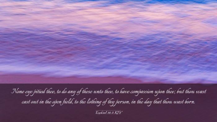 Picture 03 - Ezekiel 16:5 KJV Desktop Wallpaper - None eye pitied thee, to do any of these unto - Desktop Bible Verse Wallpaper