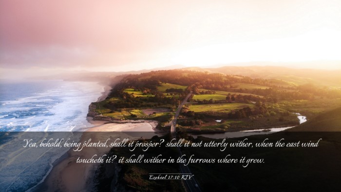 Picture 03 - Ezekiel 17:10 KJV Desktop Wallpaper - Yea, behold, being planted, shall it prosper? - Desktop Bible Verse Wallpaper