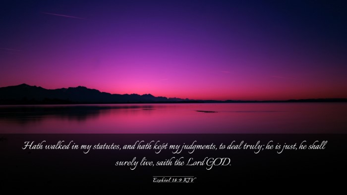 Picture 03 - Ezekiel 18:9 KJV Desktop Wallpaper - Hath walked in my statutes, and hath kept my - Desktop Bible Verse Wallpaper