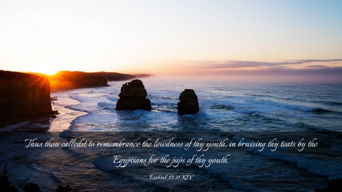 Picture 03 - Ezekiel 23:21 KJV Desktop Wallpaper - Thus thou calledst to remembrance the lewdness of - Desktop Bible Verse Wallpaper