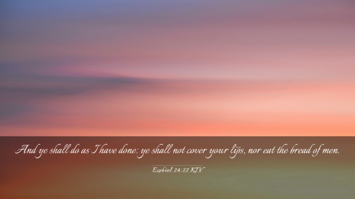 Picture 03 - Ezekiel 24:22 KJV Desktop Wallpaper - And ye shall do as I have done: ye shall not - Desktop Bible Verse Wallpaper