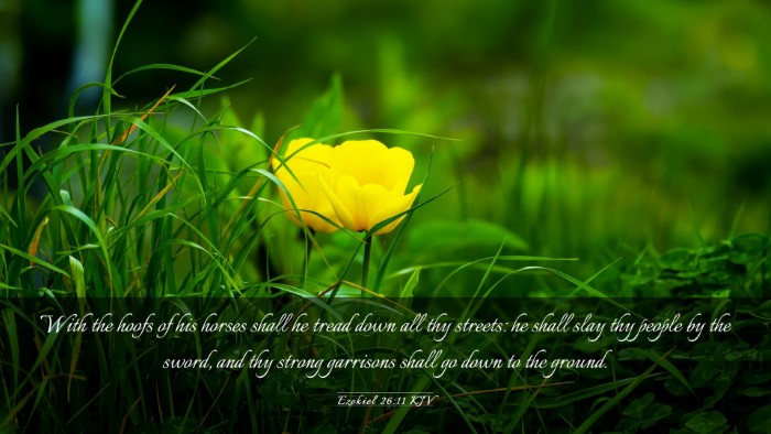 Picture 03 - Ezekiel 26:11 KJV Desktop Wallpaper - With the hoofs of his horses shall he tread down - Desktop Bible Verse Wallpaper