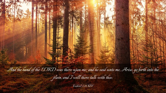 Picture 03 - Ezekiel 3:22 KJV Desktop Wallpaper - And the hand of the LORD was there upon me; and - Desktop Bible Verse Wallpaper