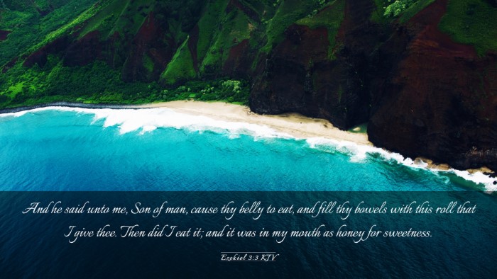 Picture 03 - Ezekiel 3:3 KJV Desktop Wallpaper - And he said unto me, Son of man, cause thy belly - Desktop Bible Verse Wallpaper