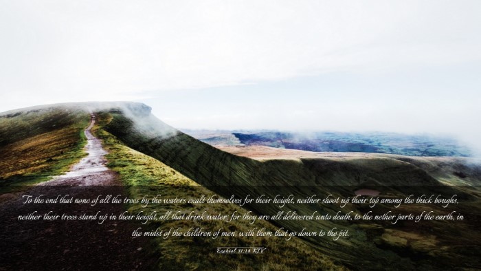 Picture 03 - Ezekiel 31:14 KJV Desktop Wallpaper - To the end that none of all the trees by the - Desktop Bible Verse Wallpaper