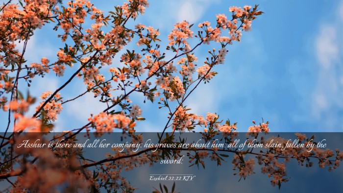 Picture 03 - Ezekiel 32:22 KJV Desktop Wallpaper - Asshur is there and all her company: his graves - Desktop Bible Verse Wallpaper