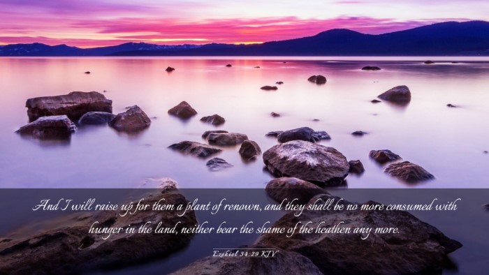 Picture 03 - Ezekiel 34:29 KJV Desktop Wallpaper - And I will raise up for them a plant of renown, - Desktop Bible Verse Wallpaper