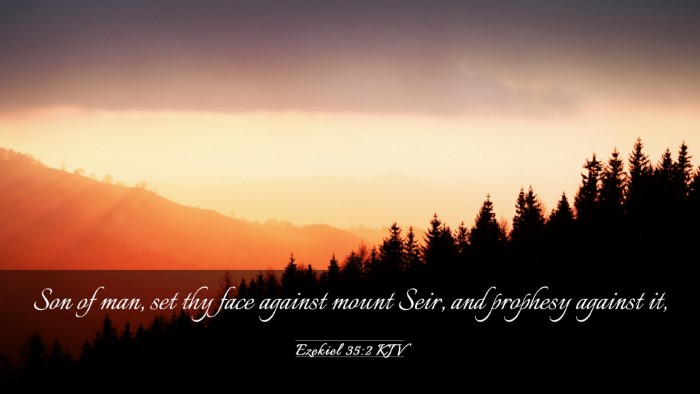 Picture 03 - Ezekiel 35:2 KJV Desktop Wallpaper - Son of man, set thy face against mount Seir, and - Desktop Bible Verse Wallpaper