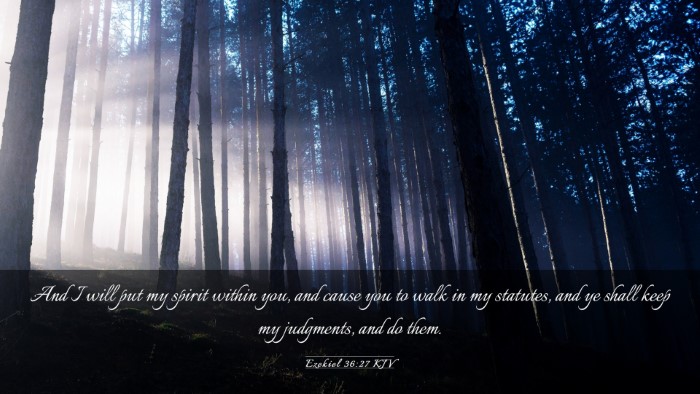 Picture 03 - Ezekiel 36:27 KJV Desktop Wallpaper - And I will put my spirit within you, and cause - Desktop Bible Verse Wallpaper