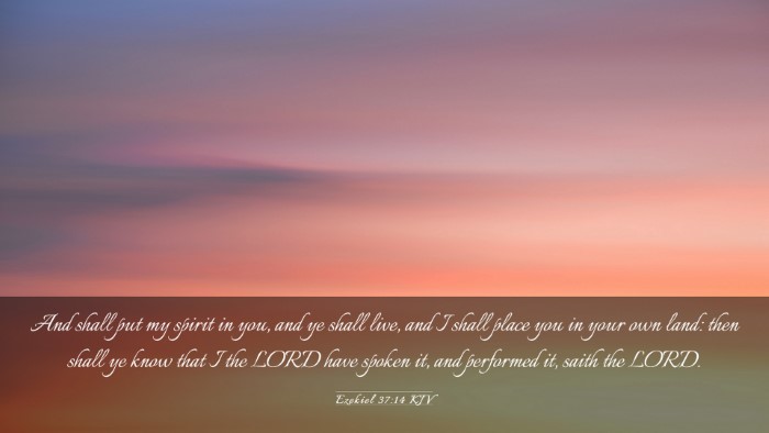 Picture 03 - Ezekiel 37:14 KJV Desktop Wallpaper - And shall put my spirit in you, and ye shall - Desktop Bible Verse Wallpaper