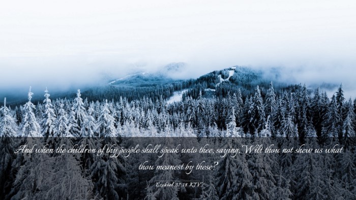 Picture 03 - Ezekiel 37:18 KJV Desktop Wallpaper - And when the children of thy people shall speak - Desktop Bible Verse Wallpaper