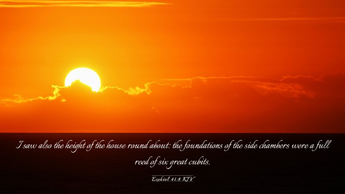 Picture 03 - Ezekiel 41:8 KJV Desktop Wallpaper - I saw also the height of the house round about: - Desktop Bible Verse Wallpaper