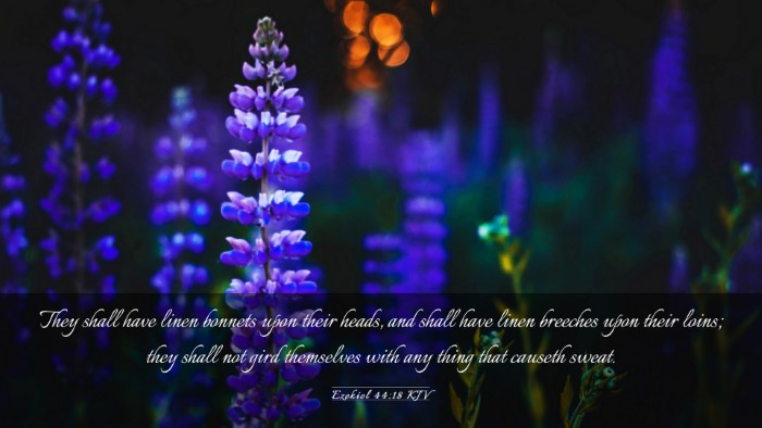 Picture 03 - Ezekiel 44:18 KJV Desktop Wallpaper - They shall have linen bonnets upon their heads, - Desktop Bible Verse Wallpaper