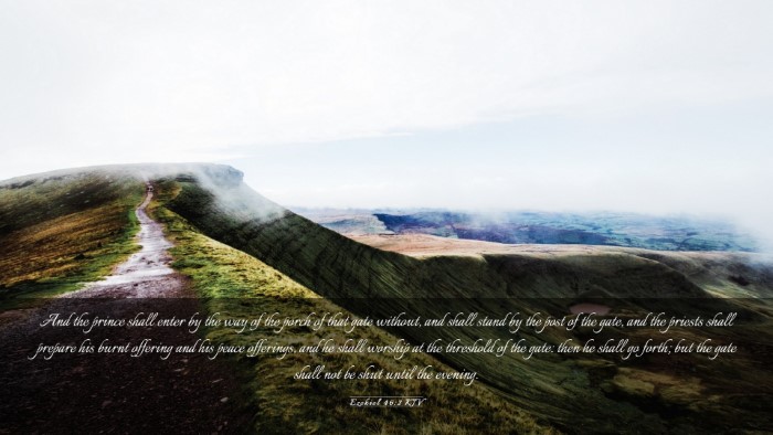 Picture 03 - Ezekiel 46:2 KJV Desktop Wallpaper - And the prince shall enter by the way of the - Desktop Bible Verse Wallpaper