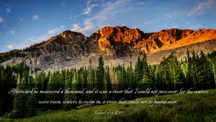 Picture 03 - Ezekiel 47:5 KJV Desktop Wallpaper - Afterward he measured a thousand; and it was a - Desktop Bible Verse Wallpaper