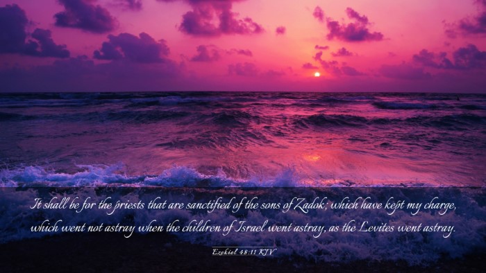 Picture 03 - Ezekiel 48:11 KJV Desktop Wallpaper - It shall be for the priests that are sanctified - Desktop Bible Verse Wallpaper