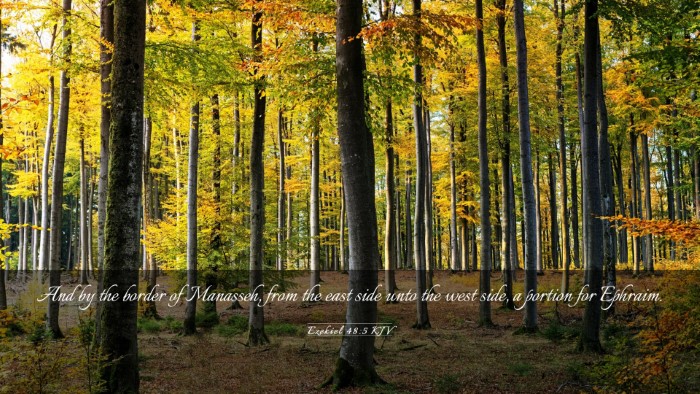 Picture 03 - Ezekiel 48:5 KJV Desktop Wallpaper - And by the border of Manasseh, from the east side - Desktop Bible Verse Wallpaper