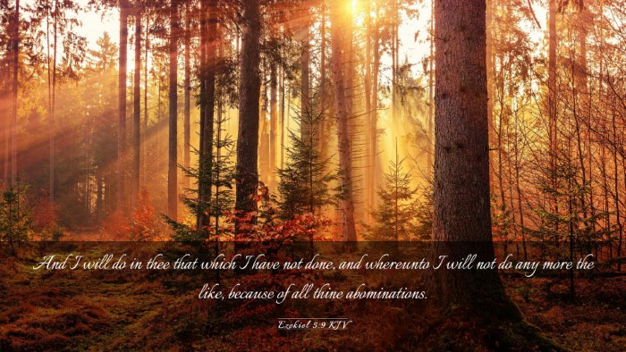 Picture 03 - Ezekiel 5:9 KJV Desktop Wallpaper - And I will do in thee that which I have not done, - Desktop Bible Verse Wallpaper