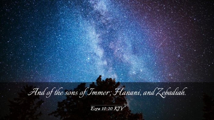 Picture 03 - Ezra 10:20 KJV Desktop Wallpaper - And of the sons of Immer; Hanani, and - Desktop Bible Verse Wallpaper