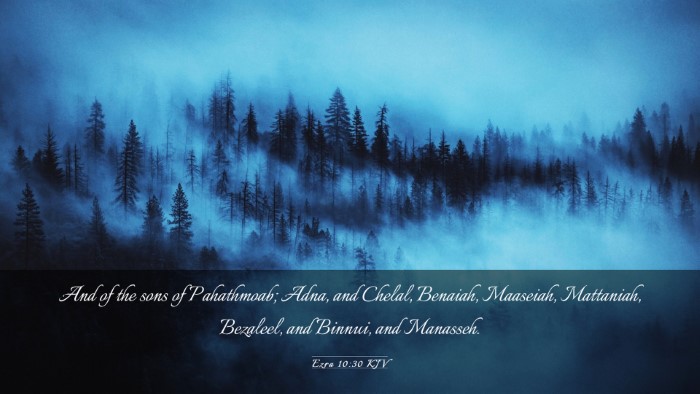 Picture 03 - Ezra 10:30 KJV Desktop Wallpaper - And of the sons of Pahathmoab; Adna, and Chelal, - Desktop Bible Verse Wallpaper