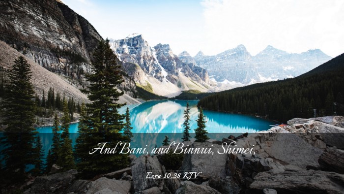 Picture 03 - Ezra 10:38 KJV Desktop Wallpaper - And Bani, and Binnui, - Desktop Bible Verse Wallpaper