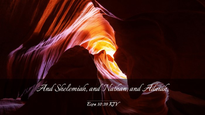 Picture 03 - Ezra 10:39 KJV Desktop Wallpaper - And Shelemiah, and Nathan, and - Desktop Bible Verse Wallpaper