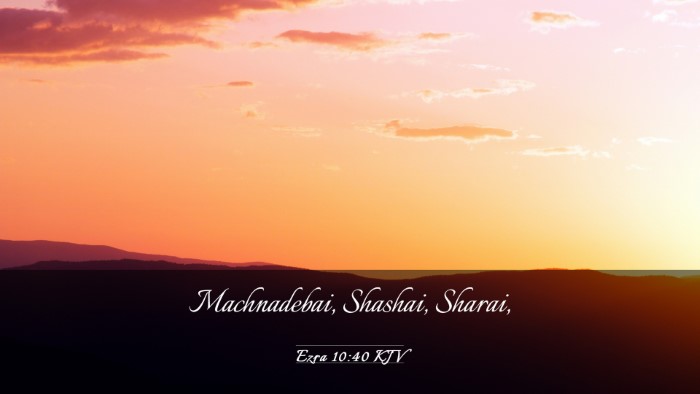 Picture 03 - Ezra 10:40 KJV Desktop Wallpaper - Machnadebai, Shashai, - Desktop Bible Verse Wallpaper