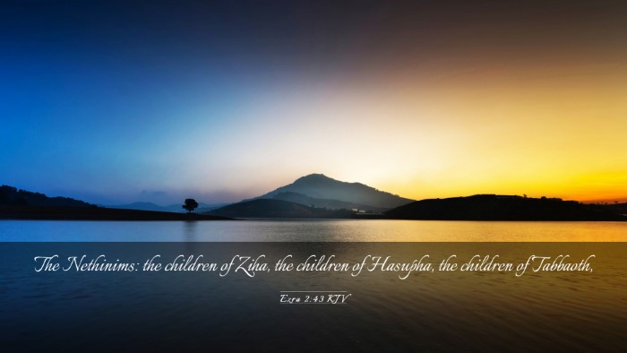 Picture 03 - Ezra 2:43 KJV Desktop Wallpaper - The Nethinims: the children of Ziha, the children - Desktop Bible Verse Wallpaper