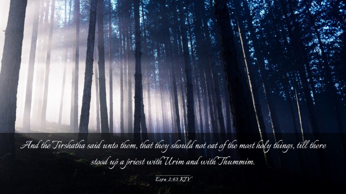 Picture 03 - Ezra 2:63 KJV Desktop Wallpaper - And the Tirshatha said unto them, that they - Desktop Bible Verse Wallpaper