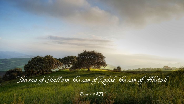 Picture 03 - Ezra 7:2 KJV Desktop Wallpaper - The son of Shallum, the son of Zadok, the son of - Desktop Bible Verse Wallpaper