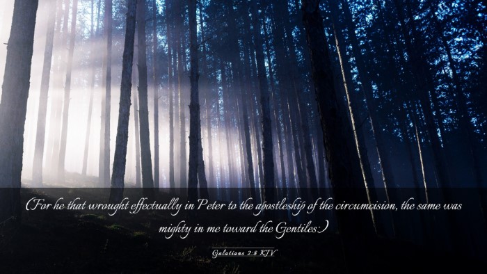 Picture 03 - Galatians 2:8 KJV Desktop Wallpaper - (For he that wrought effectually in Peter to the - Desktop Bible Verse Wallpaper