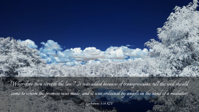 Picture 03 - Galatians 3:19 KJV Desktop Wallpaper - Wherefore then serveth the law? It was added - Desktop Bible Verse Wallpaper