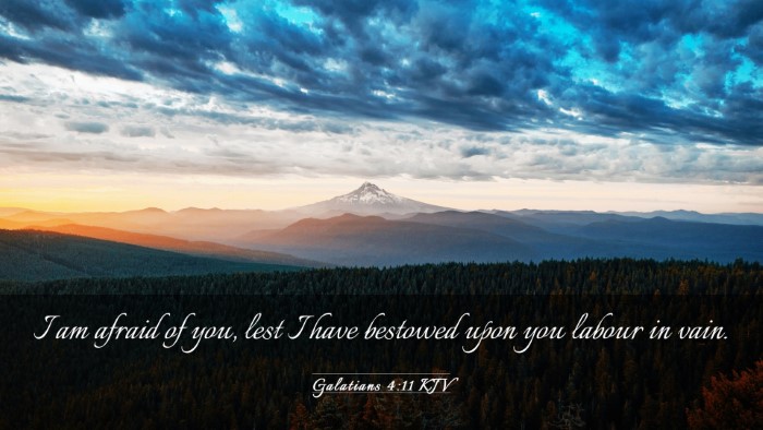 Picture 03 - Galatians 4:11 KJV Desktop Wallpaper - I am afraid of you, lest I have bestowed upon you - Desktop Bible Verse Wallpaper