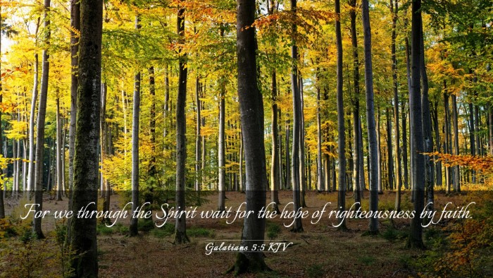 Picture 03 - Galatians 5:5 KJV Desktop Wallpaper - For we through the Spirit wait for the hope of - Desktop Bible Verse Wallpaper