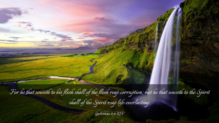Picture 03 - Galatians 6:8 KJV Desktop Wallpaper - For he that soweth to his flesh shall of the - Desktop Bible Verse Wallpaper