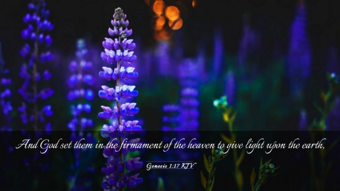 Picture 03 - Genesis 1:17 KJV Desktop Wallpaper - And God set them in the firmament of the heaven - Desktop Bible Verse Wallpaper