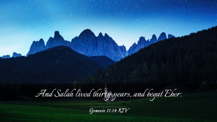 Picture 03 - Genesis 11:14 KJV Desktop Wallpaper - And Salah lived thirty years, and begat - Desktop Bible Verse Wallpaper