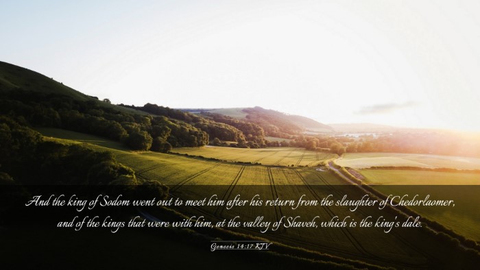 Picture 03 - Genesis 14:17 KJV Desktop Wallpaper - And the king of Sodom went out to meet him after - Desktop Bible Verse Wallpaper