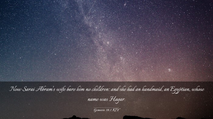 Picture 03 - Genesis 16:1 KJV Desktop Wallpaper - Now Sarai Abram's wife bare him no children: and - Desktop Bible Verse Wallpaper