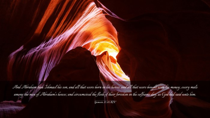 Picture 03 - Genesis 17:23 KJV Desktop Wallpaper - And Abraham took Ishmael his son, and all that - Desktop Bible Verse Wallpaper