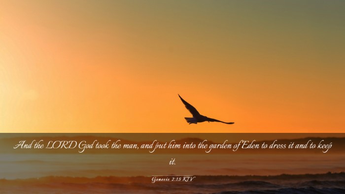Picture 03 - Genesis 2:15 KJV Desktop Wallpaper - And the LORD God took the man, and put him into - Desktop Bible Verse Wallpaper