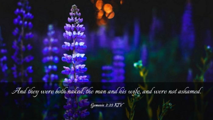 Picture 03 - Genesis 2:25 KJV Desktop Wallpaper - And they were both naked, the man and his wife, - Desktop Bible Verse Wallpaper
